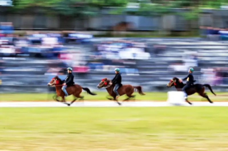 Lễ hội đua ngựa Bắc Hà: Sôi động giữa cao nguyên trắng mùa xuân