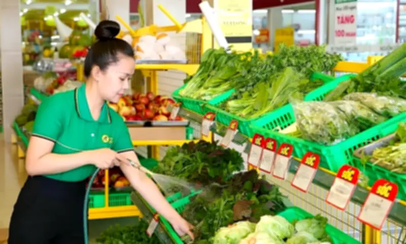 Bách Hóa Xanh Lãi Gần 2 Tỷ Đồng Mỗi Ngày, MWG Công Bố Kết Quả Ấn Tượng