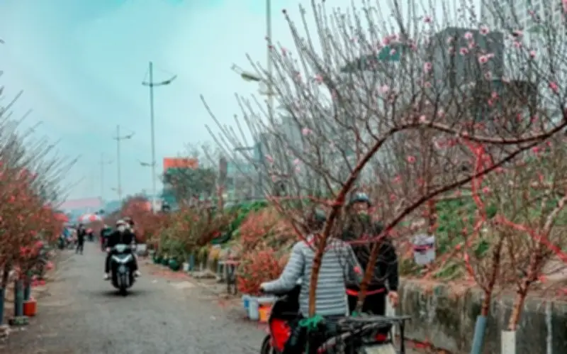 Bắc Bộ chuẩn bị đón đợt rét ẩm cuối mùa từ 17/2, Hà Nội chuyển từ oi nóng sang mưa phùn