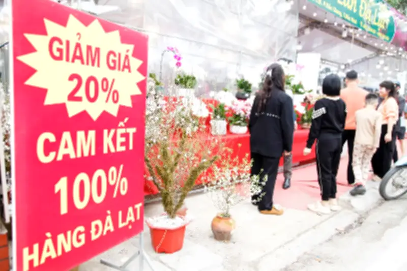 Bắc Ninh: Các cửa hàng hoa lan giảm giá mạnh sát Tết, khách mua tấp nập