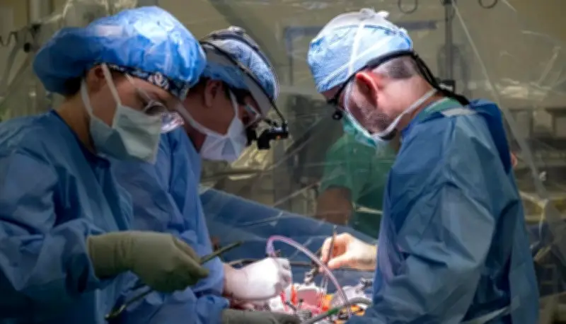 Bác sĩ Bỉ tạo đột phá lịch sử với ca ghép gan đầu tiên trên thế giới