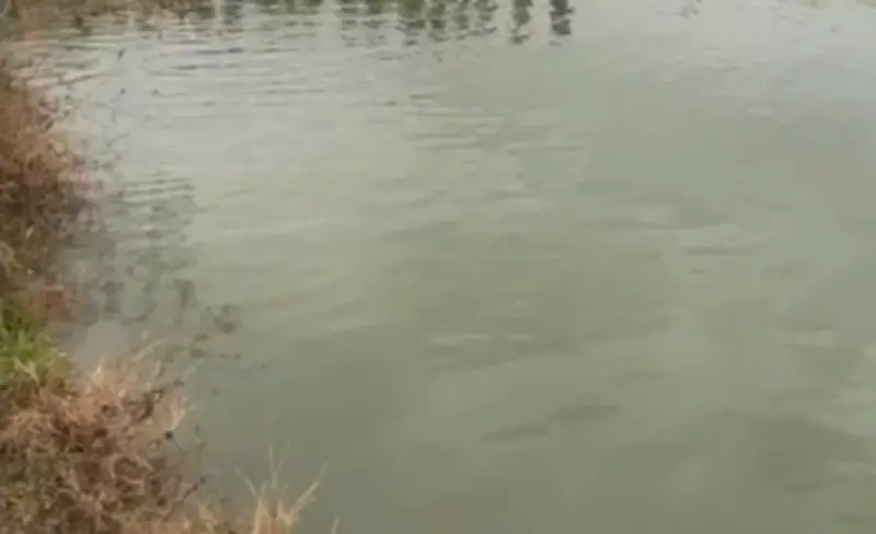 Bi kịch ở Đắk Lắk: Mẹ trẻ mang thai và con nhỏ tử vong dưới hồ nước