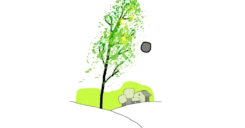 Bài thơ 'Mimosa' và những vần thơ day dứt về tình yêu, chia ly