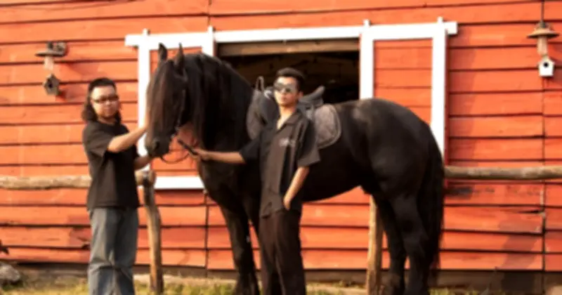 Ngựa đen tiền tỷ 'gây sốt' dịp Tết Bính Ngọ: Khách sẵn sàng chi 10 triệu, studio tất bật chạy trend