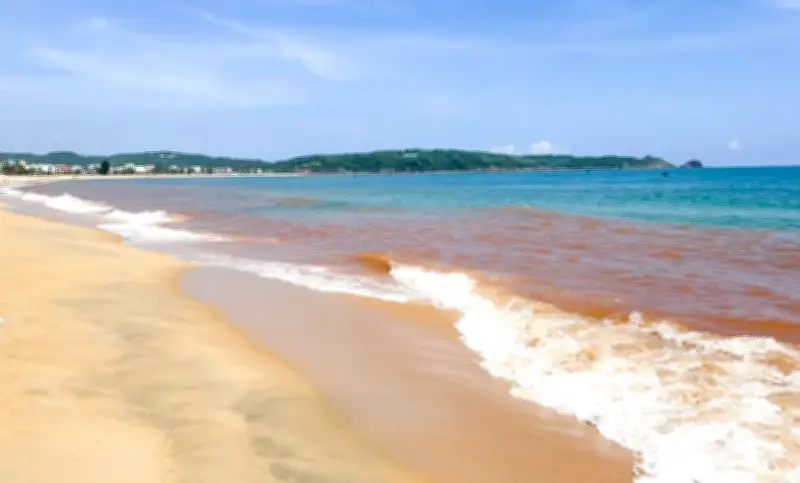 Biển Gia Lai Bất Ngờ Đổi Màu Nâu Đỏ, Nghi Ngờ Do Thủy Triều Đỏ