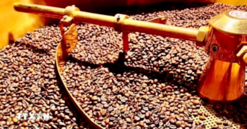 Biến đổi khí hậu đe dọa nghiêm trọng đến ngành cà-phê toàn cầu, giá cả leo thang