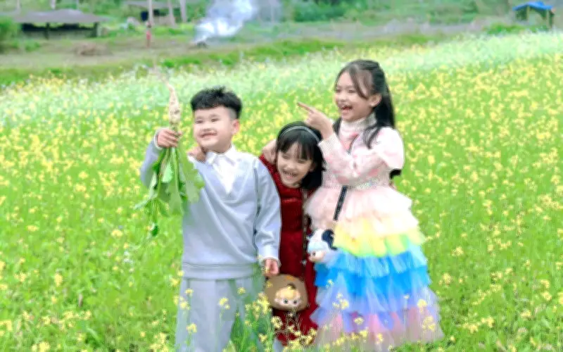 Bản Bung Rực Rỡ Sắc Vàng Hoa Cải, Điểm Du Xuân Lý Tưởng Giữa Núi Rừng