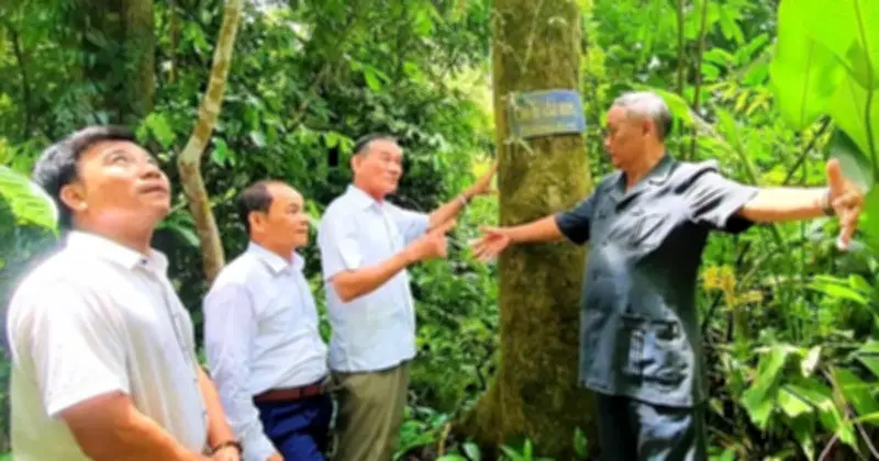Bản Hùng Ca Xanh: Khu Rừng Lịch Sử 'Bác Năm Công' Và Sức Sống Bền Bỉ Của Cộng Đồng