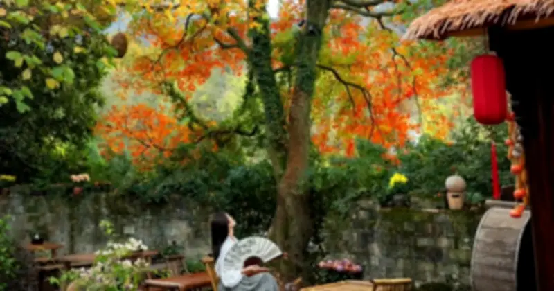 Bốn điều cần tránh và ba lưu ý khi trồng cây trong sân nhà