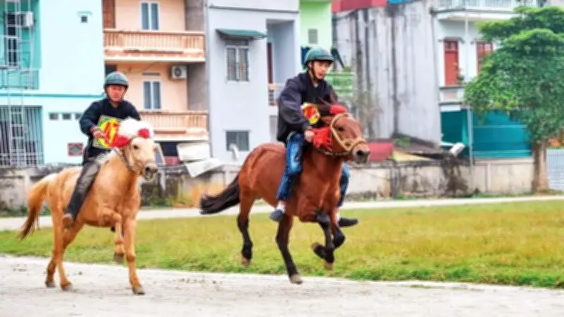 Bản Tình Ca Từ Chợ Ngựa Nậm Cáy: Nét Văn Hóa Độc Đáo Trên Cao Nguyên Bắc Hà