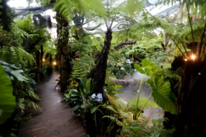 Bên trong tổ hợp cà phê như vườn địa đàng trước khi bốc cháy