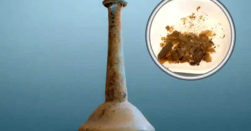 Bằng chứng đầu tiên: Người La Mã cổ đại thực sự dùng phân người để chữa bệnh