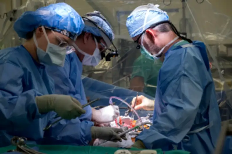 Bệnh viện Việt Đức lập dấu mốc y học thế giới với ca ghép gan chưa từng có tiền lệ