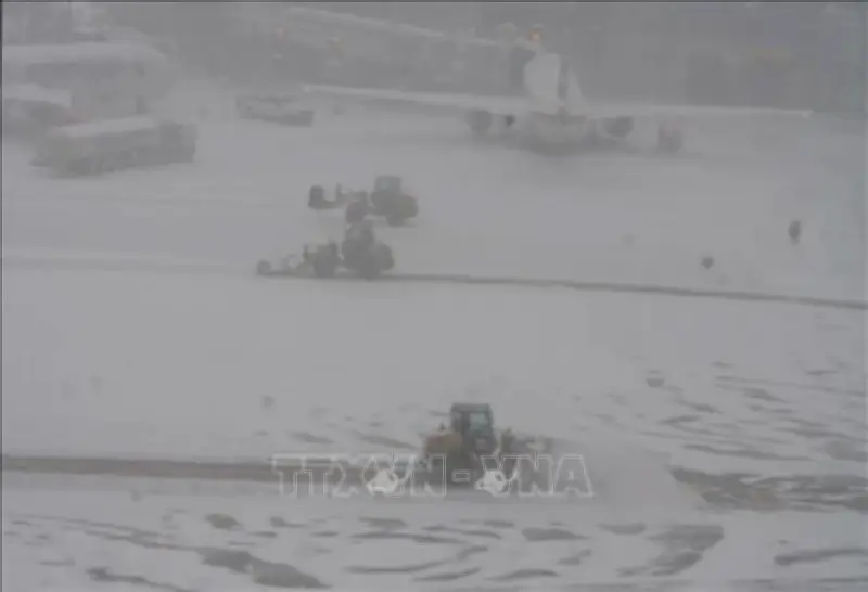 Bão tuyết lớn ở Đông Bắc Mỹ hủy hàng nghìn chuyến bay, gây gián đoạn nghiêm trọng