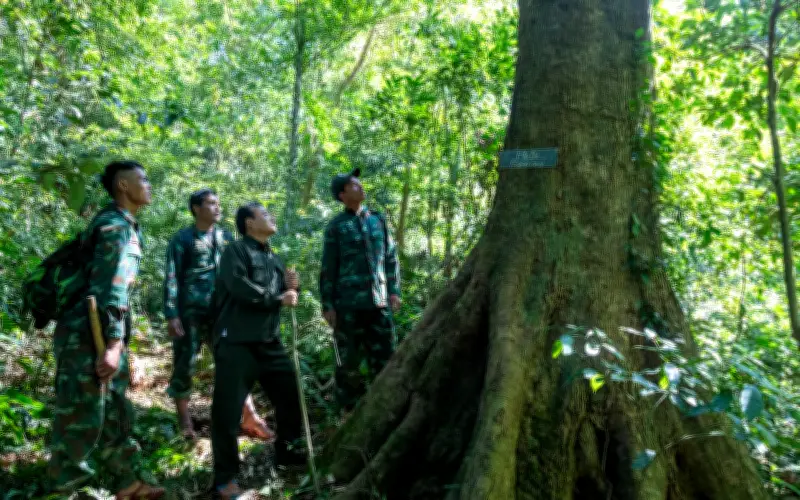 Bảo vệ rừng dịp Tết: Lực lượng kiểm lâm trực 24/7 ngăn chặn săn bắt trái phép