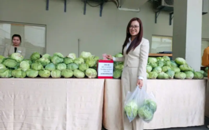 Bắp Cải 'Chú Bộ Đội' Gây Sốt Ở Đà Nẵng, Hội An: Cộng Đồng Hưởng Ứng Mạnh Mẽ