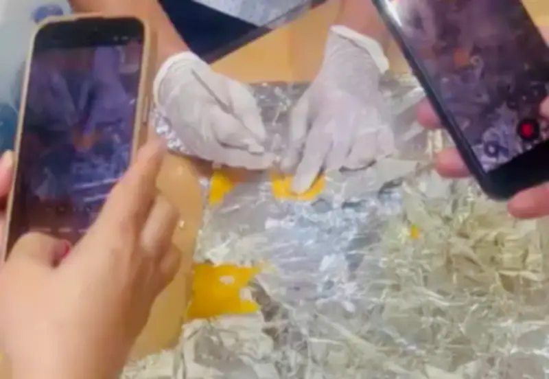 Bắt giữ hành khách nước ngoài vận chuyển 45 kg cocaine qua sân bay Tân Sơn Nhất