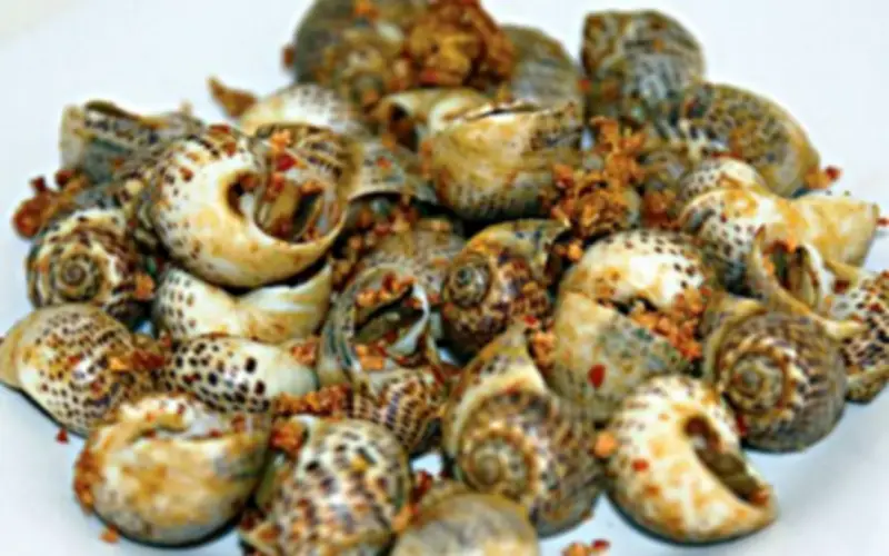Ốc Bông: Món Ăn Tưởng Bình Thường Nhưng Chứa Loạt Vitamin Quý Cho Xương, Miễn Dịch Và Tim Mạch