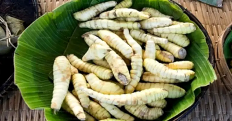 Củ dong: Thực phẩm lành tính hỗ trợ phục hồi sau rượu bia, theo chuyên gia