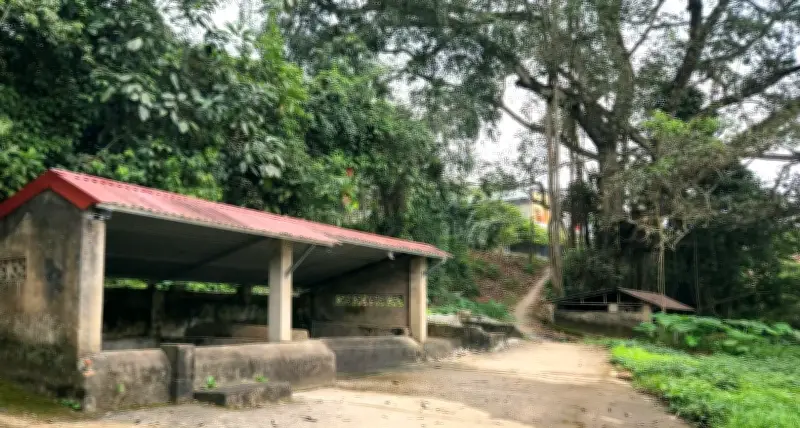 Cá làng ở Thanh Hóa: Bảo vệ giếng cổ, Tết đến lại ra lấy nước cầu may