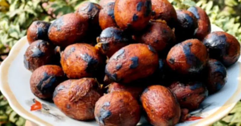 Cọ Ỏm Phú Thọ: Món Ăn Dân Dã Với Hương Vị Mộc Mạc Và Lợi Ích Sức Khỏe