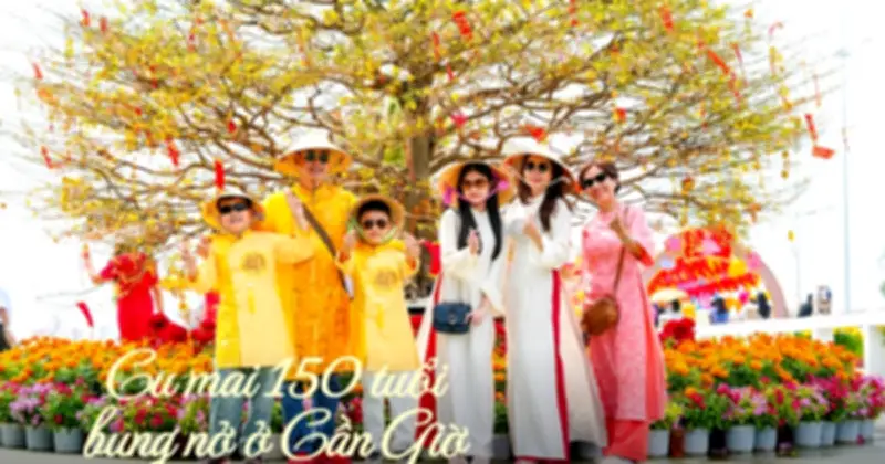 Cụ Mai 150 Tuổi Rực Rỡ, Thu Hút Du Khách Xin Lộc Đầu Xuân Tại Cần Giờ
