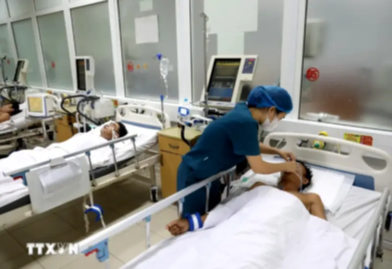 Cà Mau: Ba người bị ngộ độc thực phẩm nghi do ăn nhầm con so