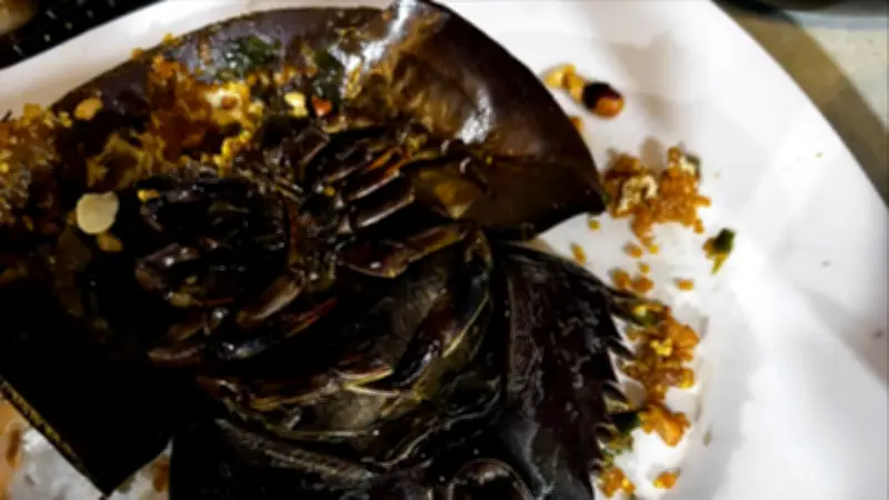 Cà Mau: Ba Thanh Niên Ngộ Độc Sau Khi Ăn Sam Nướng Tại Quán Ốc