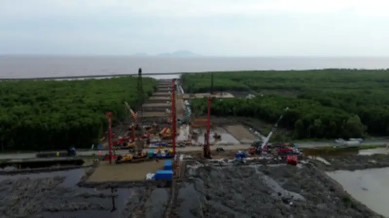 Cà Mau Thông Qua Quy Hoạch Phát Triển Đến 2050, Định Hướng Trở Thành Trung Tâm Công Nghiệp