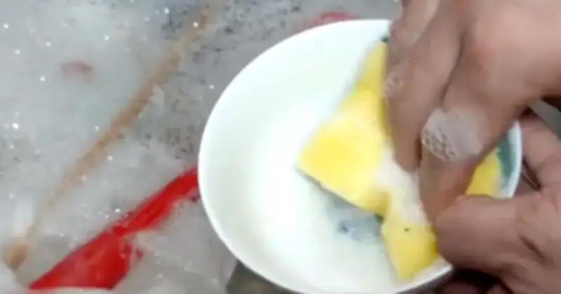 Cả nhà nhập viện vì ngộ độc thực phẩm: Thủ phạm là chiếc khăn rửa bát cũ kỹ