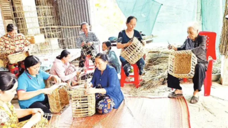 Cỏ Năn Tượng: Từ Cây Cải Tạo Môi Trường Đến Nguyên Liệu Xuất Khẩu Triệu Đô