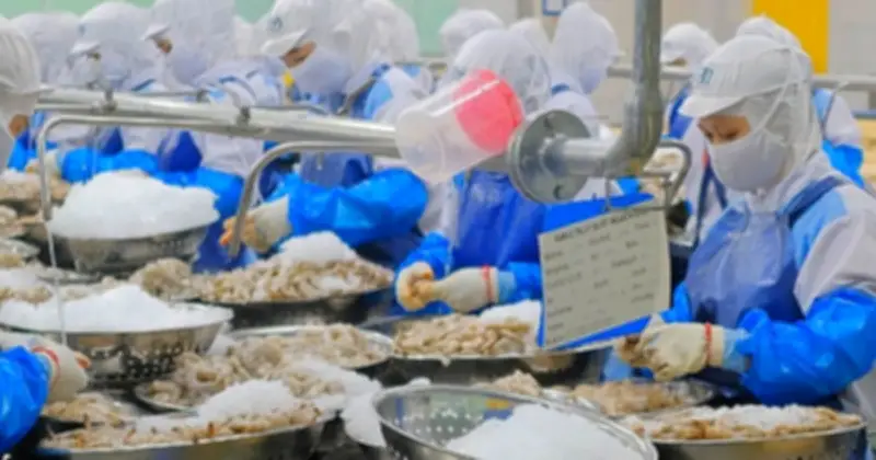 Cổ phiếu FMC tăng kịch trần sau phán quyết thuế thuận lợi từ Mỹ