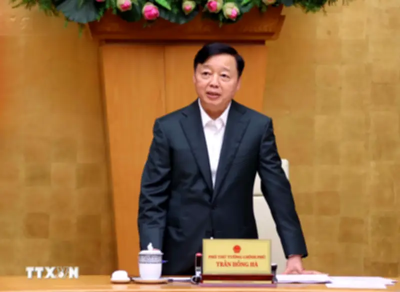 Cơ quan chức năng ra quân toàn diện chống khai thác IUU, sẵn sàng đón đoàn thanh tra EC