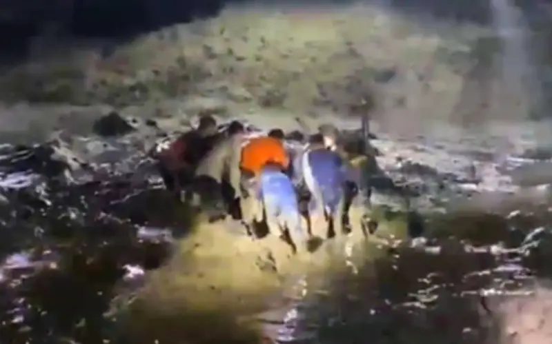 Cá Sấu Tấn Công Khiến Người Đàn Ông Tử Vong Khi Đang Tắm Ở Mỏ Thiếc Indonesia