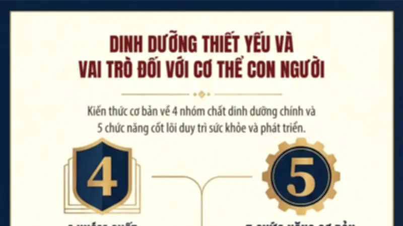Cơ thể con người cần những chất dinh dưỡng nào và vai trò của chúng