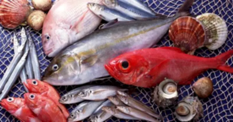 Cá: Thực phẩm vàng hay nguồn nguy cơ? Cách ăn cá an toàn tránh kim loại nặng