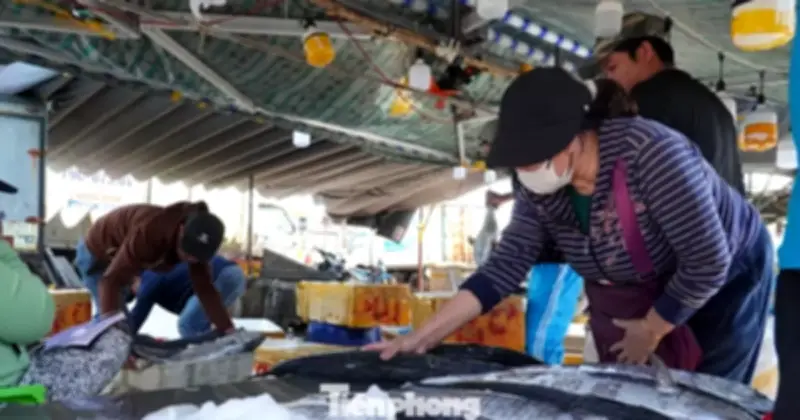 Cá Thu Cảng Thọ Quang Đà Nẵng 'Cháy Hàng' Ngày Áp Tết, Giá Tăng Gấp Đôi