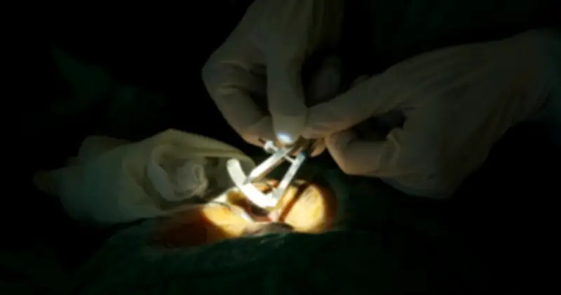 Ca Hiến Tạng Đầu Năm Cứu Sống 12 Bệnh Nhân: Nghĩa Cử Cao Đẹp Lan Tỏa