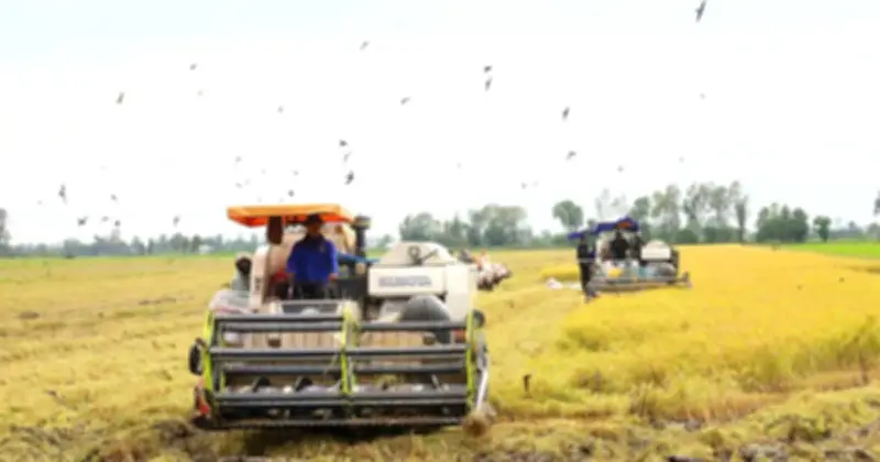 Cần Thơ thông qua chính sách hỗ trợ nông nghiệp sau thiên tai, dịch hại