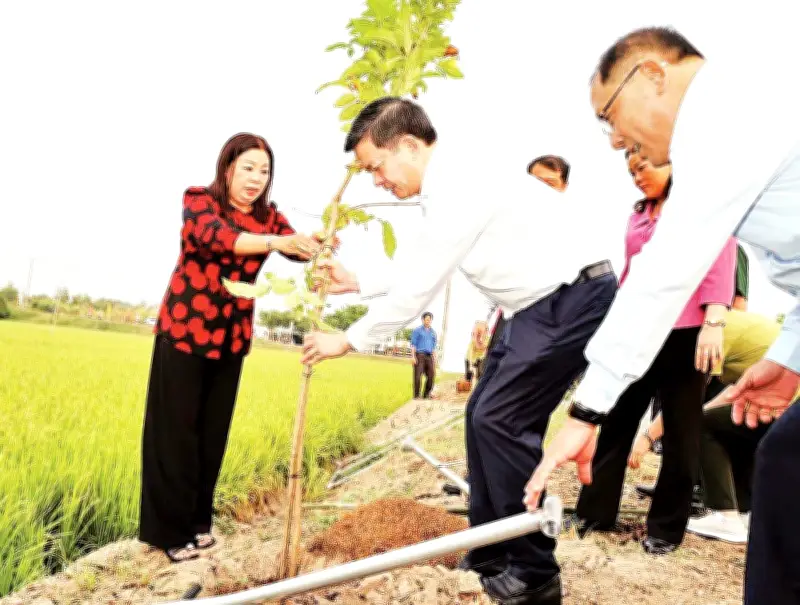 Cao Bằng và Hà Nội khởi động Tết trồng cây Xuân Bính Ngọ với kế hoạch chi tiết