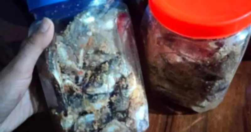 Cục An toàn thực phẩm cảnh báo ngộ độc Botulinum từ món cá ủ chua tại Đà Nẵng