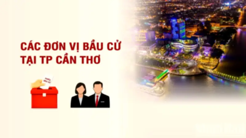 Các đơn vị bầu cử đại biểu Quốc hội tại thành phố Cần Thơ: Thông tin chi tiết