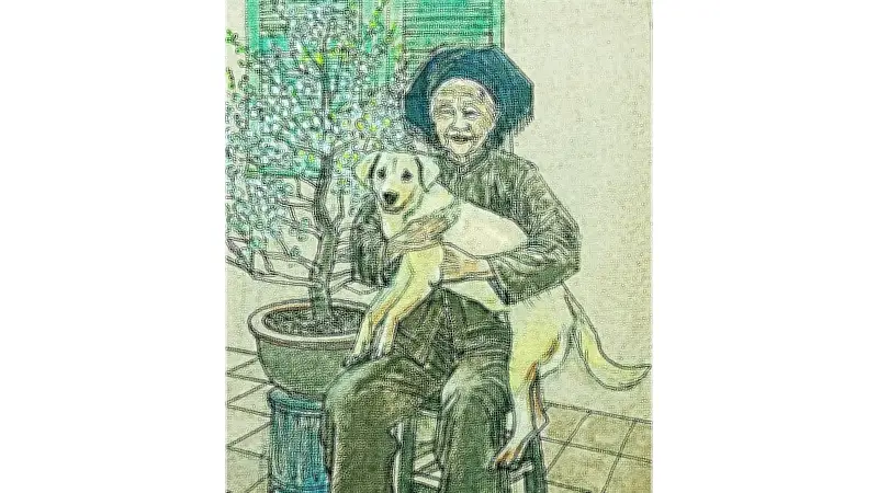 Chú chó lạc và câu chuyện xúc động về ngôi nhà cũ trong đêm Giao thừa