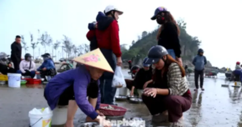 Chợ hải sản Cửa Lò nhộn nhịp ngày đầu năm, giá tăng 10-20% vẫn hút khách