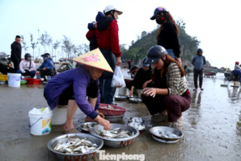 Chợ hải sản Cửa Lò nhộn nhịp ngày đầu năm, ngư dân phấn khởi đầy khoang