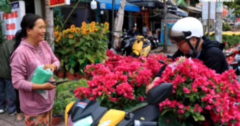 Chợ hoa Bình Đông rực rỡ sắc xuân, người dân TP.HCM nô nức mua hoa đón Tết