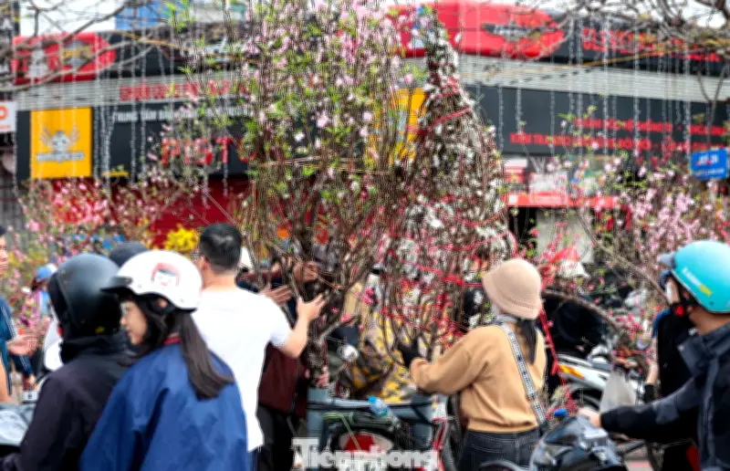 Chợ hoa cuối năm sôi động: Đào, quất giảm giá sâu, khách đổ về mua sắm