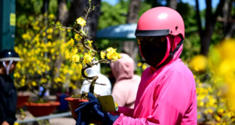 Chợ hoa Gia Định giảm giá sâu trưa 29 Tết, tiểu thương tranh thủ bán nốt hàng