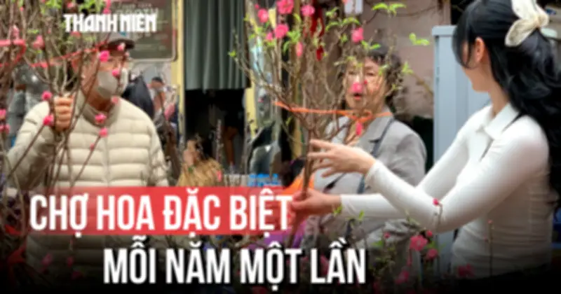 Chợ Hoa Gần Hồ Gươm: Điểm Hẹn Độc Đáo Chỉ Diễn Ra Một Lần Mỗi Năm