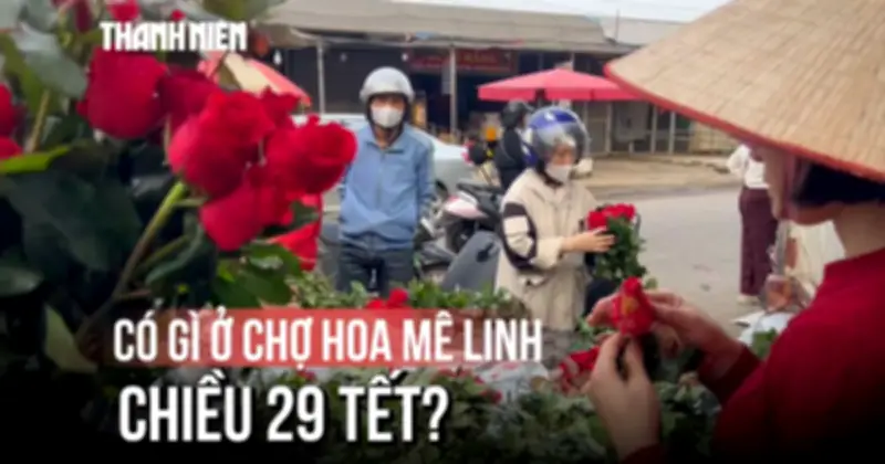 Chợ hoa Mê Linh, Đà Lạt 29 Tết: 100 nghìn mua được 4 chậu hoa tươi thắm